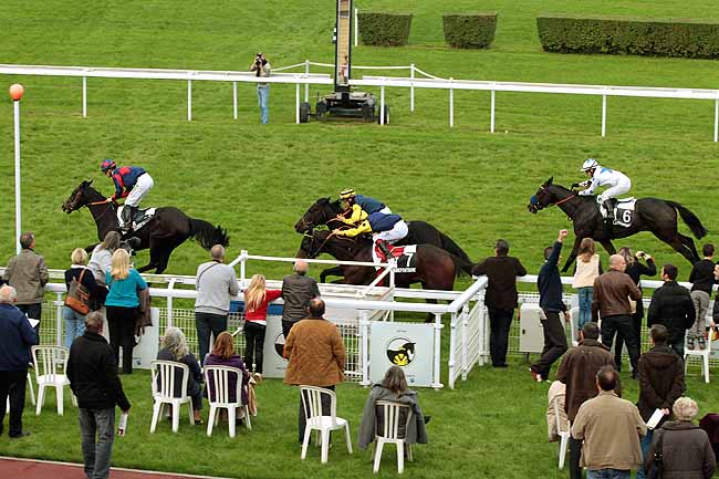 Arrivée quinté pmu PRIX COMMISSION NATIONALE DES CHEVAUX TERRITORIAUX à CLAIREFONTAINE