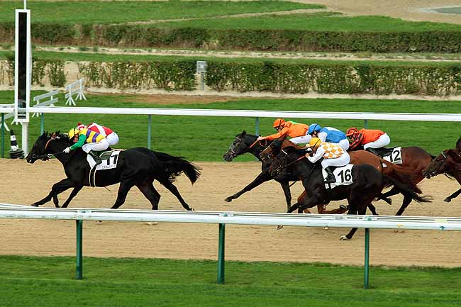 Arrivée quinté pmu PRIX DE MAUQUENCHY à DEAUVILLE