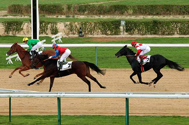 Arrivée quinté pmu PRIX DE LONGECHAUX à DEAUVILLE