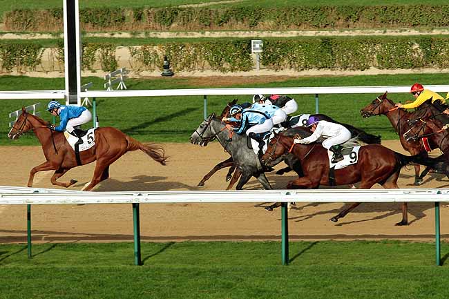Arrivée quinté pmu PRIX DE LA MOTTERAYE à DEAUVILLE