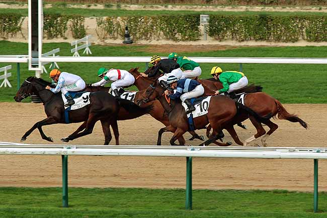 Arrivée quinté pmu PRIX DES ELEVAGES NORMANDS à DEAUVILLE