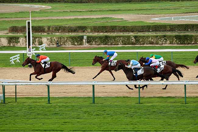 Arrivée quinté pmu PRIX DU TERROIR NORMAND à DEAUVILLE