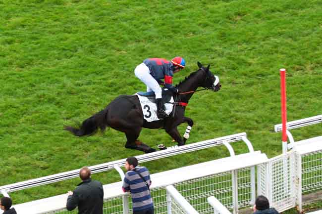 Arrivée quinté pmu PRIX CEREALISTE à AUTEUIL