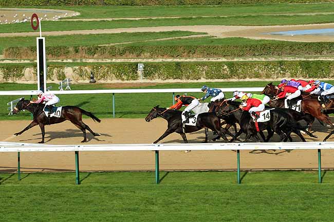 Arrivée quinté pmu PRIX DU MARAIS VERNIER à DEAUVILLE