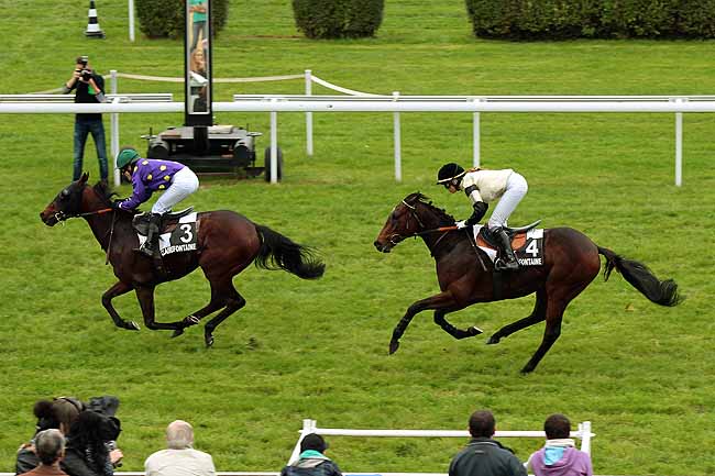 Arrivée quinté pmu PRIX DE LA VESPIERE à CLAIREFONTAINE