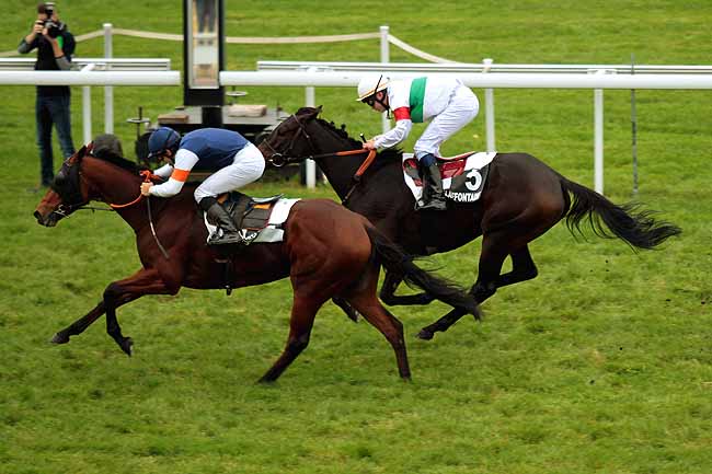 Arrivée quinté pmu PRIX DU CEDRE BLEU à CLAIREFONTAINE