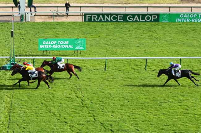 Arrivée quinté pmu PRIX DE BLAISON à LONGCHAMP