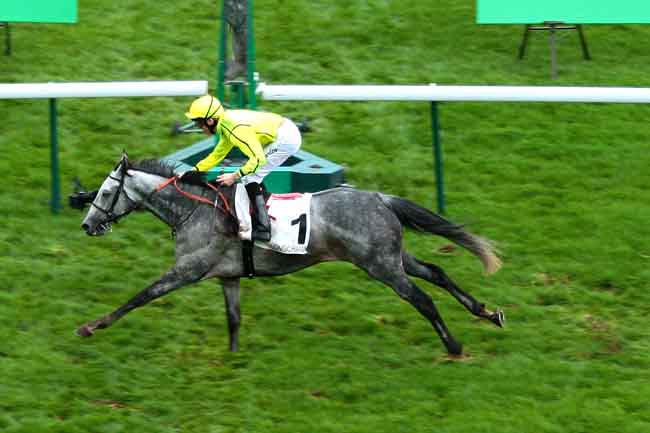 Arrivée quinté pmu PRIX ROYAL-OAK à LONGCHAMP