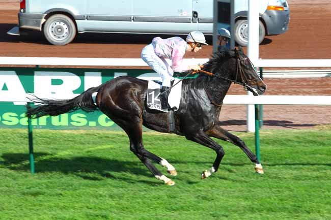 Arrivée quinté pmu GRAND HANDICAP DE MARSEILLE à MARSEILLE-BORELY