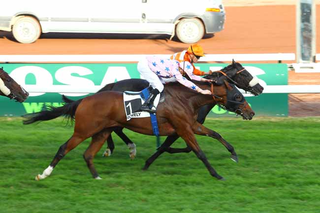 Arrivée quinté pmu PRIX SABY ZARAYA à MARSEILLE-BORELY