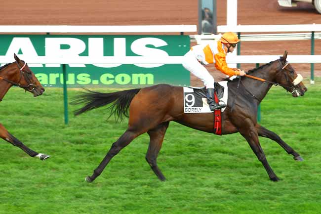 Arrivée quinté pmu PRIX DE L'ASSOCIATION DES JOCKEYS à MARSEILLE-BORELY