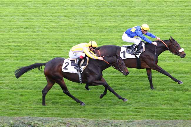 Arrivée quinté pmu PRIX CHLORIS à SAINT-CLOUD