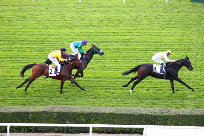 Arrivée quinté pmu PRIX FAIRY LEGEND à SAINT-CLOUD