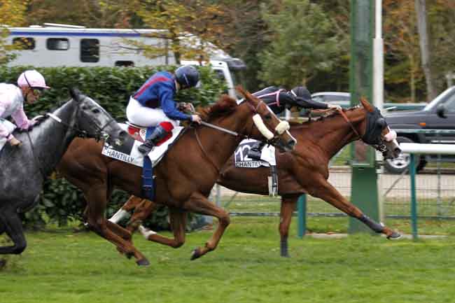 Arrivée quinté pmu PRIX DE L'AVELON à CHANTILLY