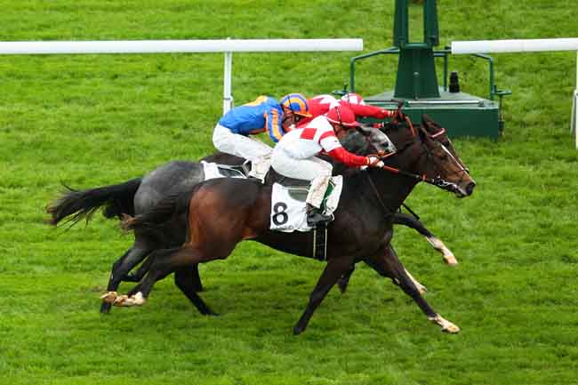Arrivée quinté pmu PRIX DOUVE à SAINT-CLOUD