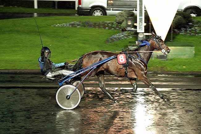 Arrivée quinté pmu PRIX GALLEA à PARIS-VINCENNES