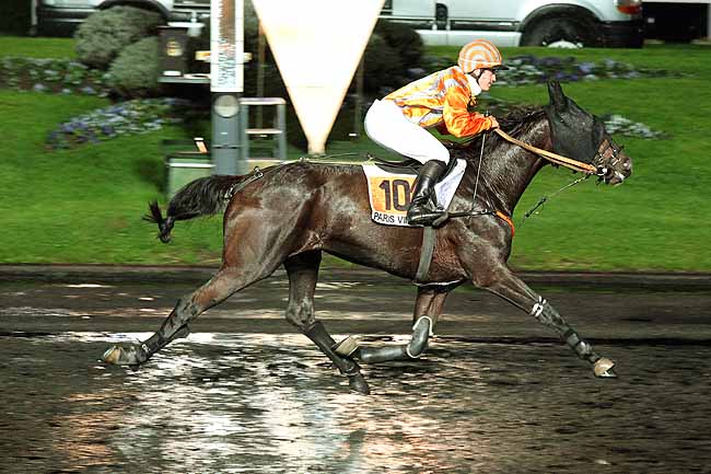 Arrivée quinté pmu PRIX LACERTA à PARIS-VINCENNES