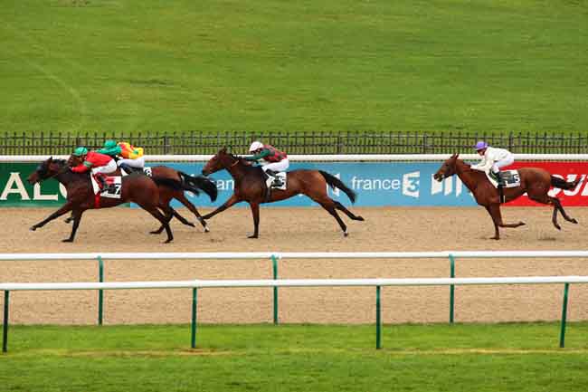 Arrivée quinté pmu PRIX DU BOIS DE LA TUILERIE à CHANTILLY