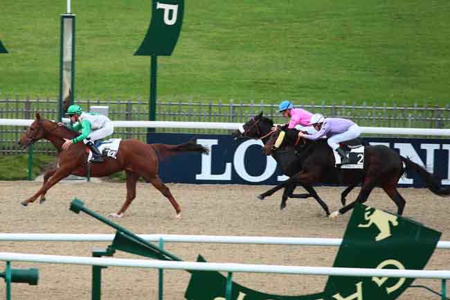Arrivée quinté pmu PRIX DE L'ALLEE BRULETTE à CHANTILLY