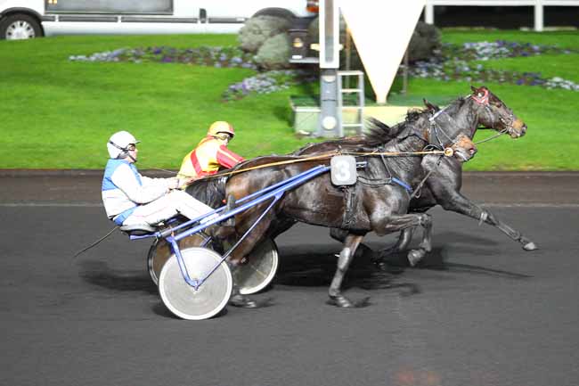 Arrivée quinté pmu PRIX MEDUSA à PARIS-VINCENNES