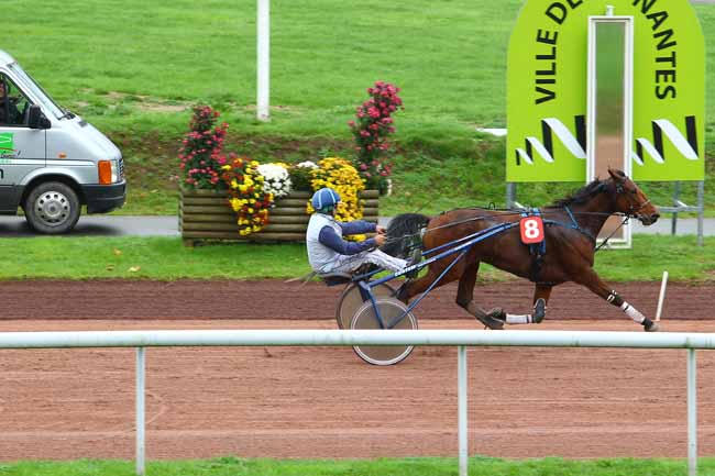 Arrivée quinté pmu GRAND PRIX DES 5 ANS à NANTES