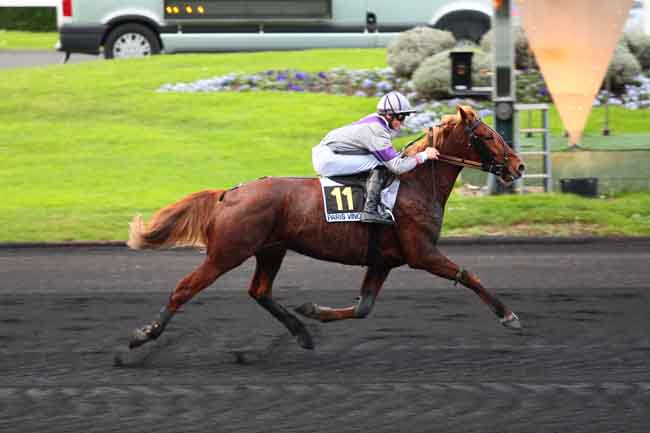 Arrivée quinté pmu PRIX DE GEX à PARIS-VINCENNES
