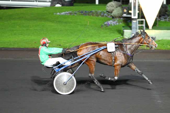 Arrivée quinté pmu PRIX PALATIA à PARIS-VINCENNES