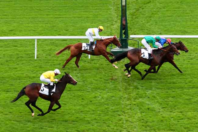 Arrivée quinté pmu PRIX PHARSALE à SAINT-CLOUD