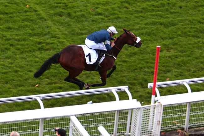 Arrivée quinté pmu PRIX DE BEAUGENCY à AUTEUIL
