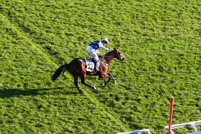 Arrivée quinté pmu PRIX MARC ANTONY à AUTEUIL