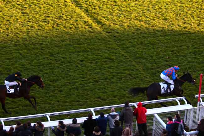 Arrivée quinté pmu PRIX RENAUD DU VIVIER - GRANDE COURSE DE HAIES DES 4 ANS à AUTEUIL