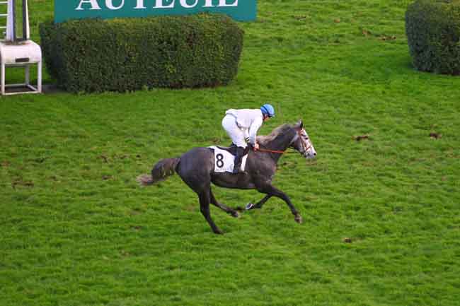 Arrivée quinté pmu PRIX THUYA à AUTEUIL