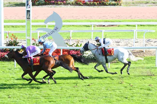 Arrivée quinté pmu PRIX DE LA DEPECHE DU MIDI (PRIX DU QUARTIER SAINT-CYPRIEN) à TOULOUSE