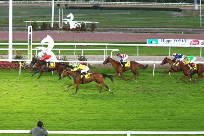 Arrivée quinté pmu GRAND NATIONAL DES ANGLO-ARABES A 12.5 % à TOULOUSE