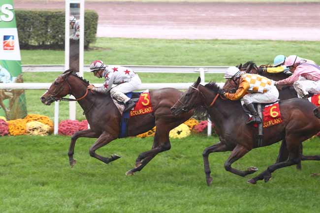 Arrivée quinté pmu GRAND HANDICAP D'ECOUFLANT à ANGERS