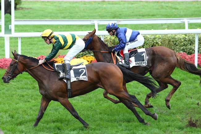 Arrivée quinté pmu PRIX DE BOUCHEMAINE à ANGERS
