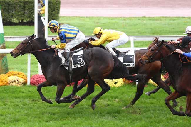 Arrivée quinté pmu GRAND PRIX D'ANGERS à ANGERS