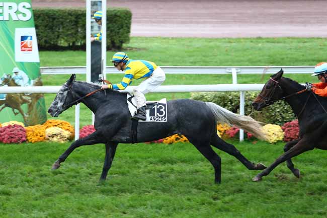 Arrivée quinté pmu PRIX COMMANDANT DE LA BRUNIERE à ANGERS