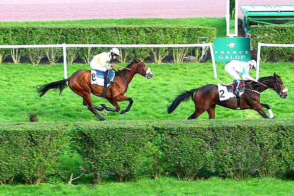 Arrivée quinté pmu PRIX LYCOMING à ENGHIEN