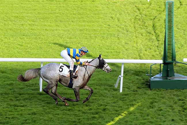 Arrivée quinté pmu PRIX BURGOS à SAINT-CLOUD