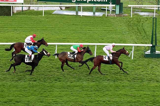 Arrivée quinté pmu PRIX DE LAMARQUE à SAINT-CLOUD