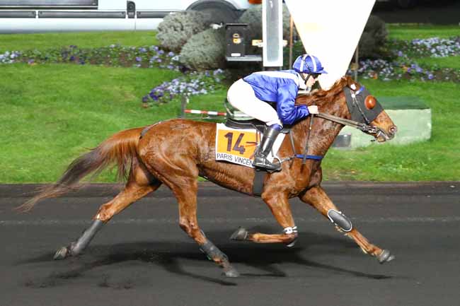 Arrivée quinté pmu PRIX LEONA à PARIS-VINCENNES