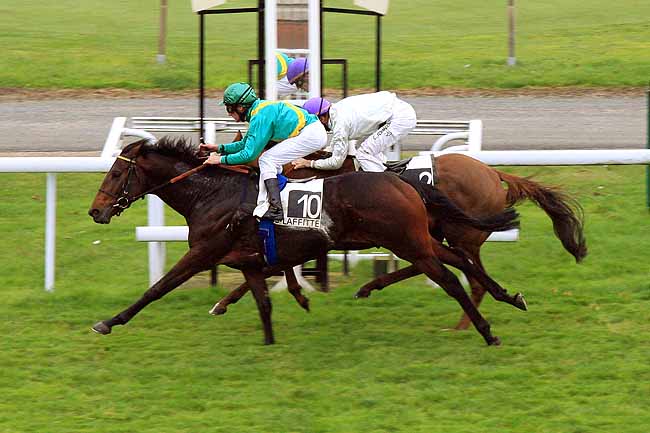 Arrivée quinté pmu PRIX DU MANOIR à MAISONS-LAFFITTE