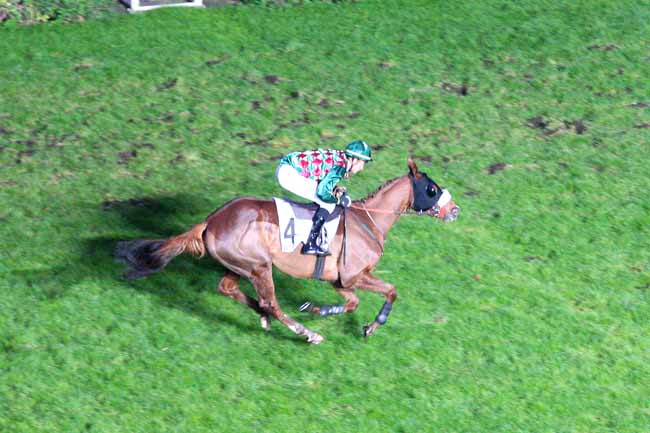 Arrivée quinté pmu PRIX METATERO à AUTEUIL
