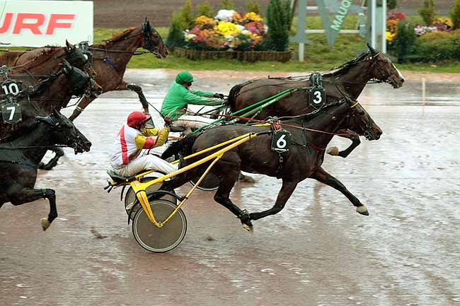 Arrivée quinté pmu PRIX DOMAINE DE FORGES (GR A) à MAUQUENCHY