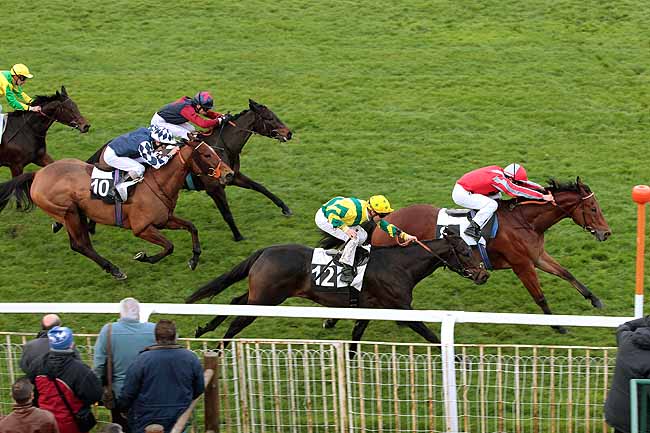 Arrivée quinté pmu PRIX CONTESSINA à FONTAINEBLEAU