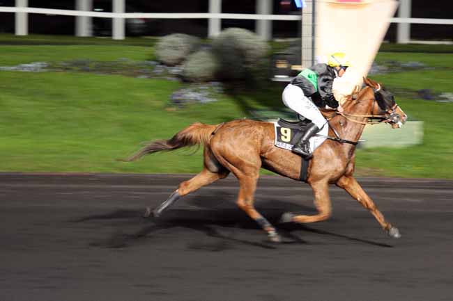 Arrivée quinté pmu PRIX DE LA BRESSE à PARIS-VINCENNES