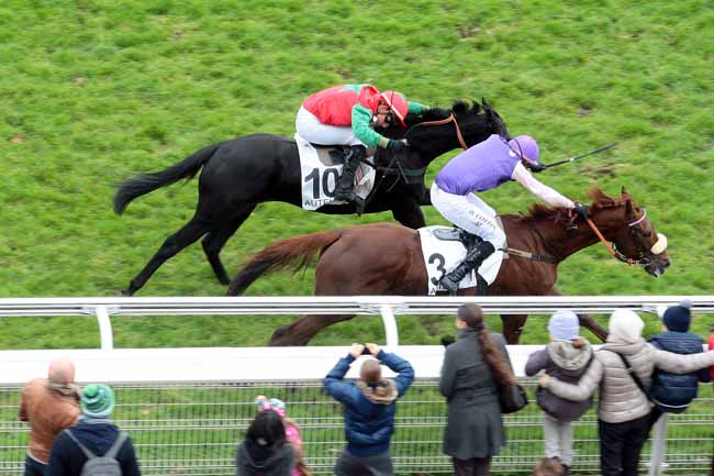 Arrivée quinté pmu PRIX FIFRELET à AUTEUIL