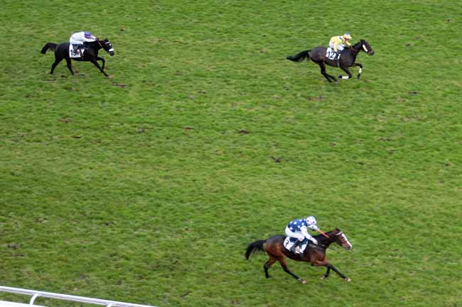 Arrivée quinté pmu PRIX SANTO PIETRO à AUTEUIL