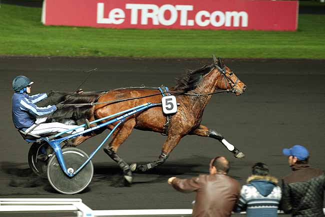 Arrivée quinté pmu PRIX ARSINOE à PARIS-VINCENNES